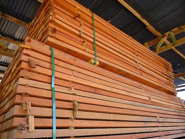 Kempas timber