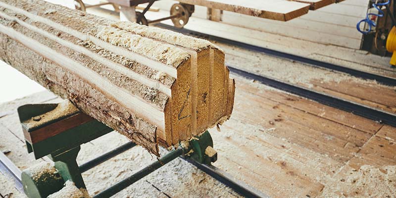 Montco: Timber exporter rooted in sawmilling excellence